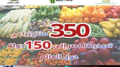 Photo of الزراعة: مصر تصدر 350 منتجا لـ150 دولة حول العالم