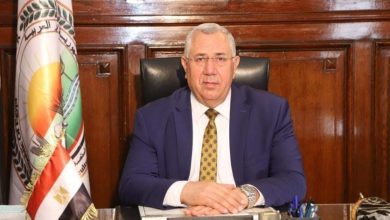 Photo of وزير الزراعة: صادرات مصر تتجاوز 4.1 مليون طن لأول مرة