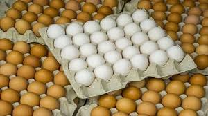 Photo of انخفاض أسعار البيض والكرتونة 62.5 جنيه بالمزرعة