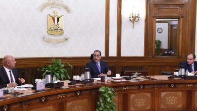 Photo of رئيس الوزراء يتابع جهود تيسير نفاذ الصادرات المصرية إلى الأسواق الخارجية خاصة الأفريقية