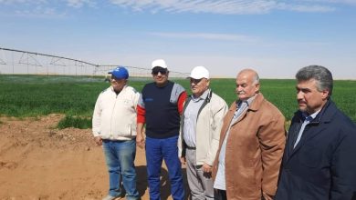 Photo of وزير قطاع الأعمال من توشكى: التوسع في زراعة القمح وزيادة مساحته لـ50%