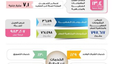 Photo of باسل رحمي: جهاز تنمية المشروعات مول مشروعات للمرأة بقيمة 13.4 مليار جنيه