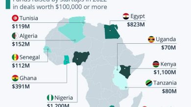 Photo of مصر ضمن أكبر الدول الحاضنة للشركات الناشئة في إفريقيا