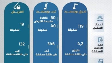 Photo of اقتصادية قناة السويس: 283 سفينة حمولة 4,6 مليون طن بموانئ المنطقة الشمالية خلال أكتوبر