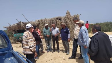 Photo of الزراعة : الفرق الإرشادية تتابع المحاصيل الاستراتيجية في شمال سيناء