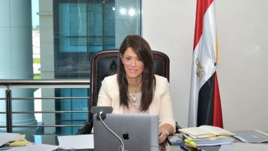 Photo of وزيرة التخطيط تعرض خبرات مصر فى منصة «نُوَفّي» على  الحكومة التنزانية